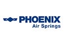 Логотип PHOENIX