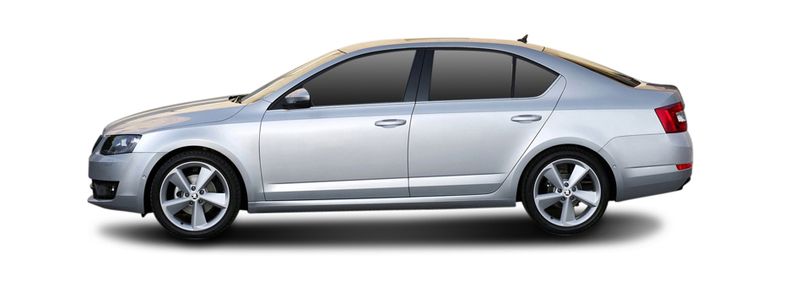 Логотип марки SKODA (SVW)