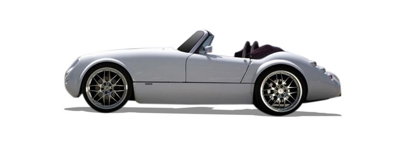 Логотип марки WIESMANN