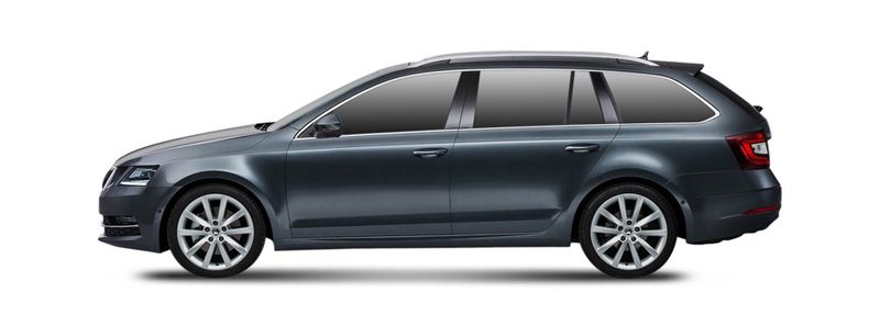 Логотип марки SKODA (SVW)