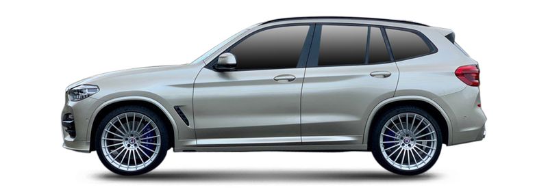 Логотип марки ALPINA