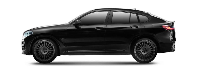 Логотип марки ALPINA