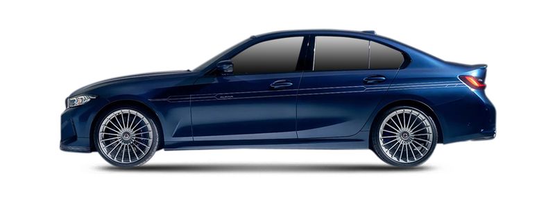 Логотип марки ALPINA