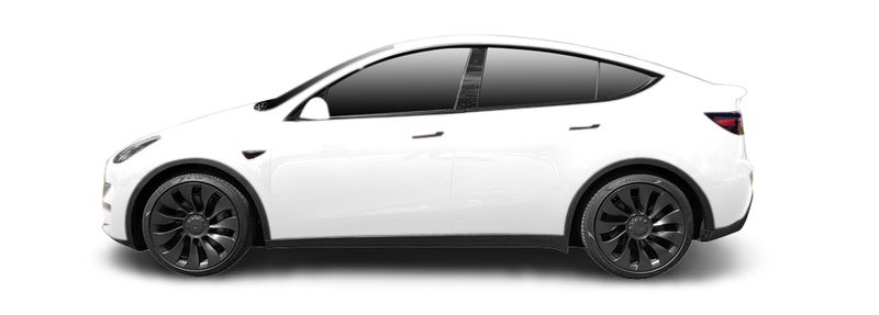 Логотип марки TESLA