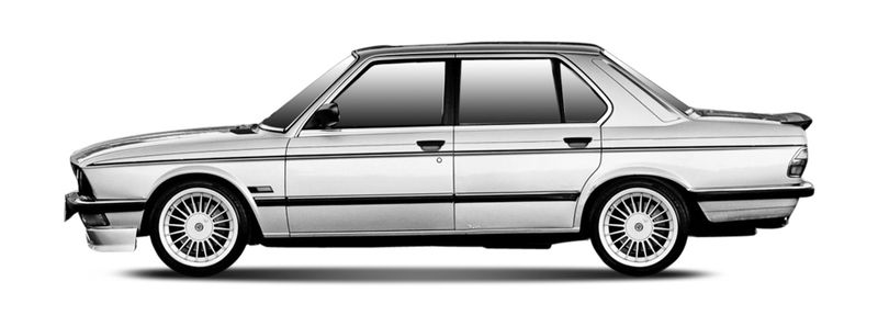 Логотип марки ALPINA
