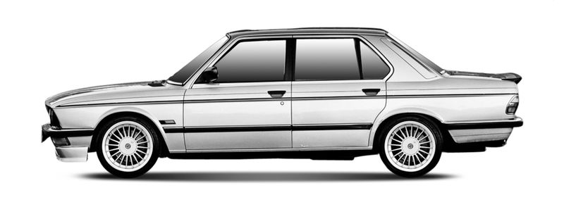 Логотип марки ALPINA