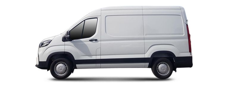 Логотип марки LDV