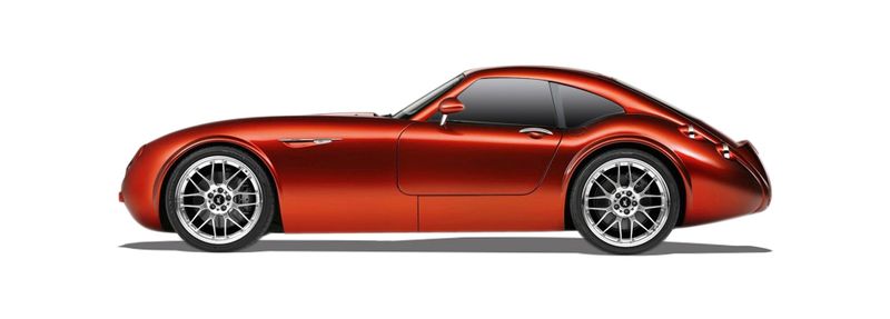 Логотип марки WIESMANN