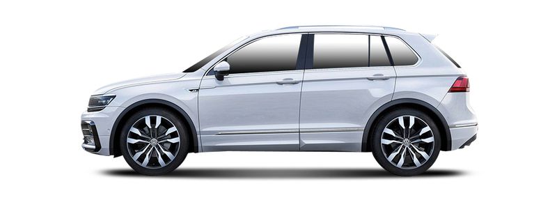 Логотип марки VW (SVW)